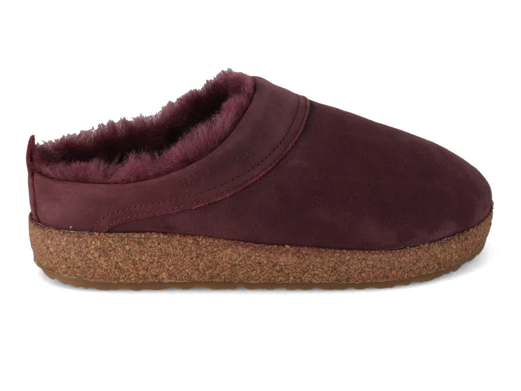 1 HAFLINGER-Clog--Snowbird-Aubergine #farbe_Purple