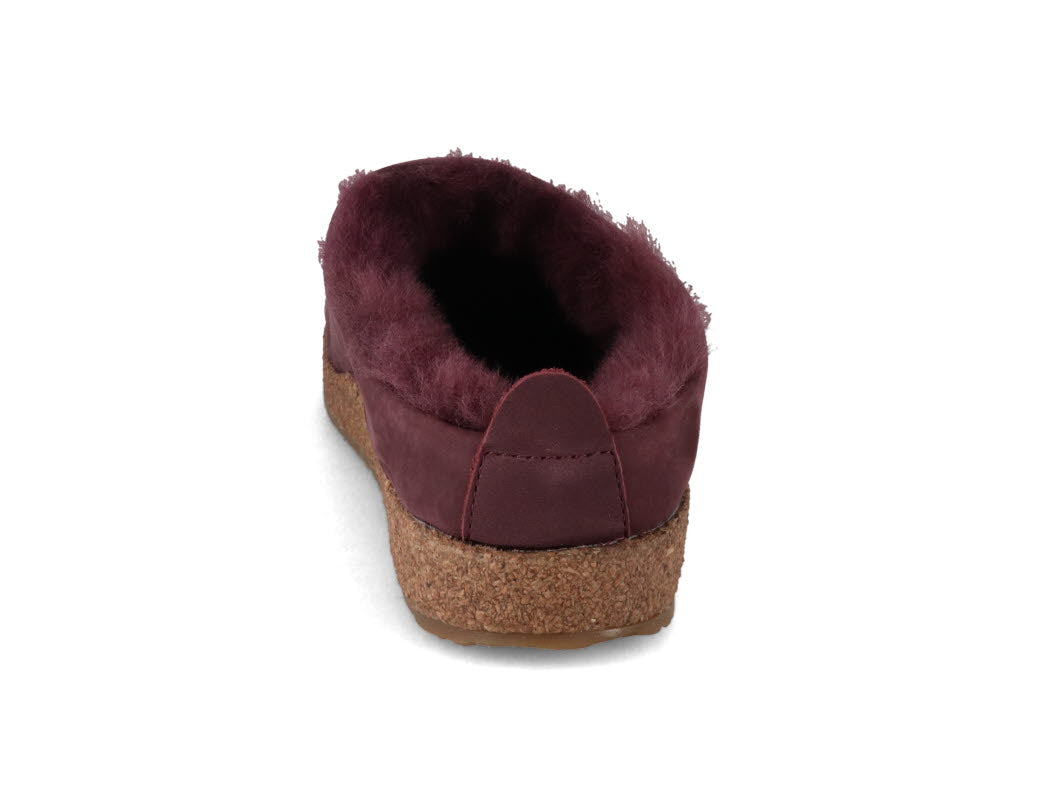 1 HAFLINGER-Clog--Snowbird-Aubergine #farbe_Purple