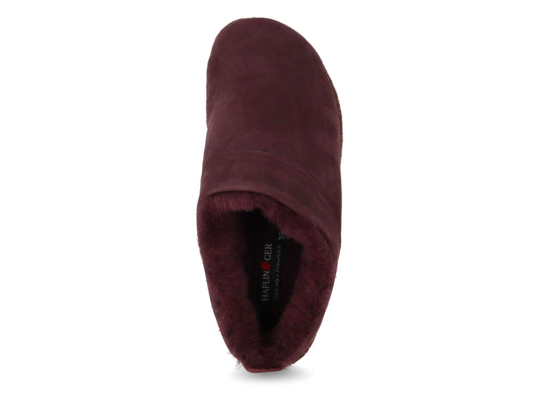 1 HAFLINGER-Clog--Snowbird-Aubergine #farbe_Purple