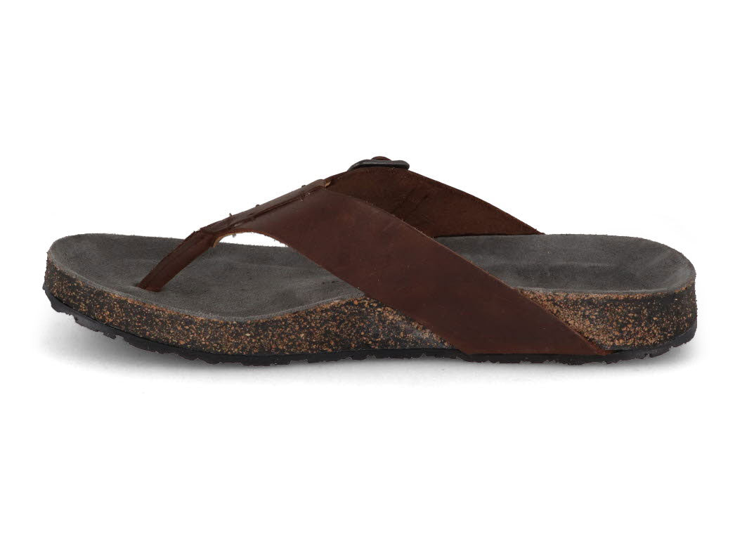 haflinger-men's-leather-thong-sandals-bio-rio #color_brown