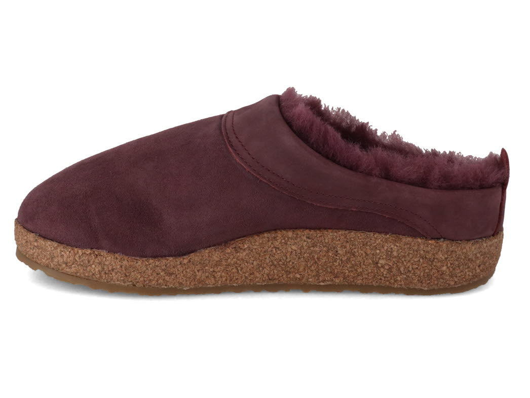 1 HAFLINGER-Clog--Snowbird-Aubergine #farbe_Purple