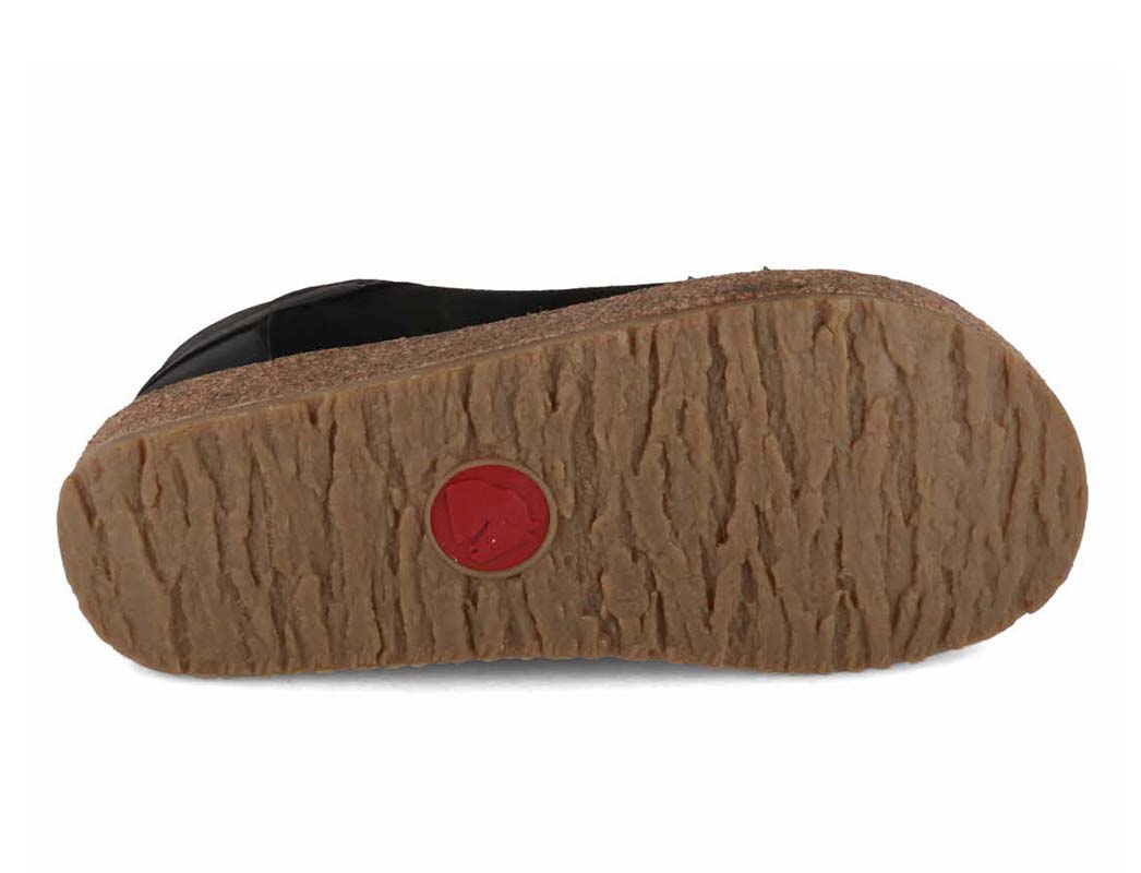 haflinger-siberia #color_black