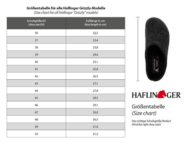 1 HAFLINGER-Clog--Grizzly-Faible-Anthracite