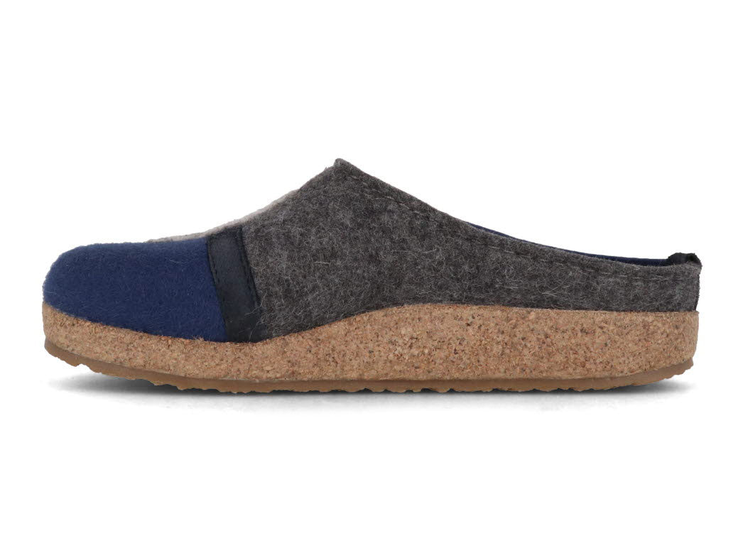 1 HAFLINGER-Women-Felt-Clogs-Grizzly-Lu-blueberry #farbe_Blueberry