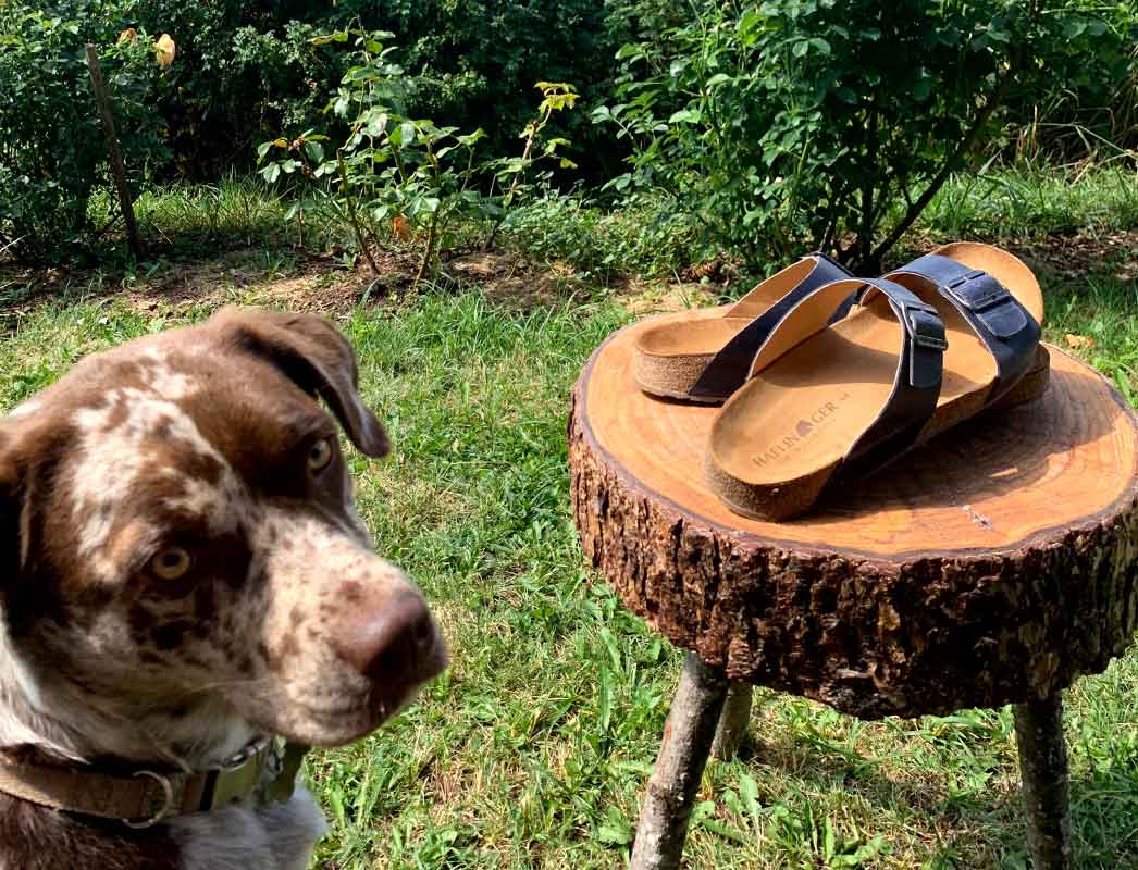 1 HAFLINGER-Men-Sandals-Bio-Andrea-country-marine #farbe_Blue