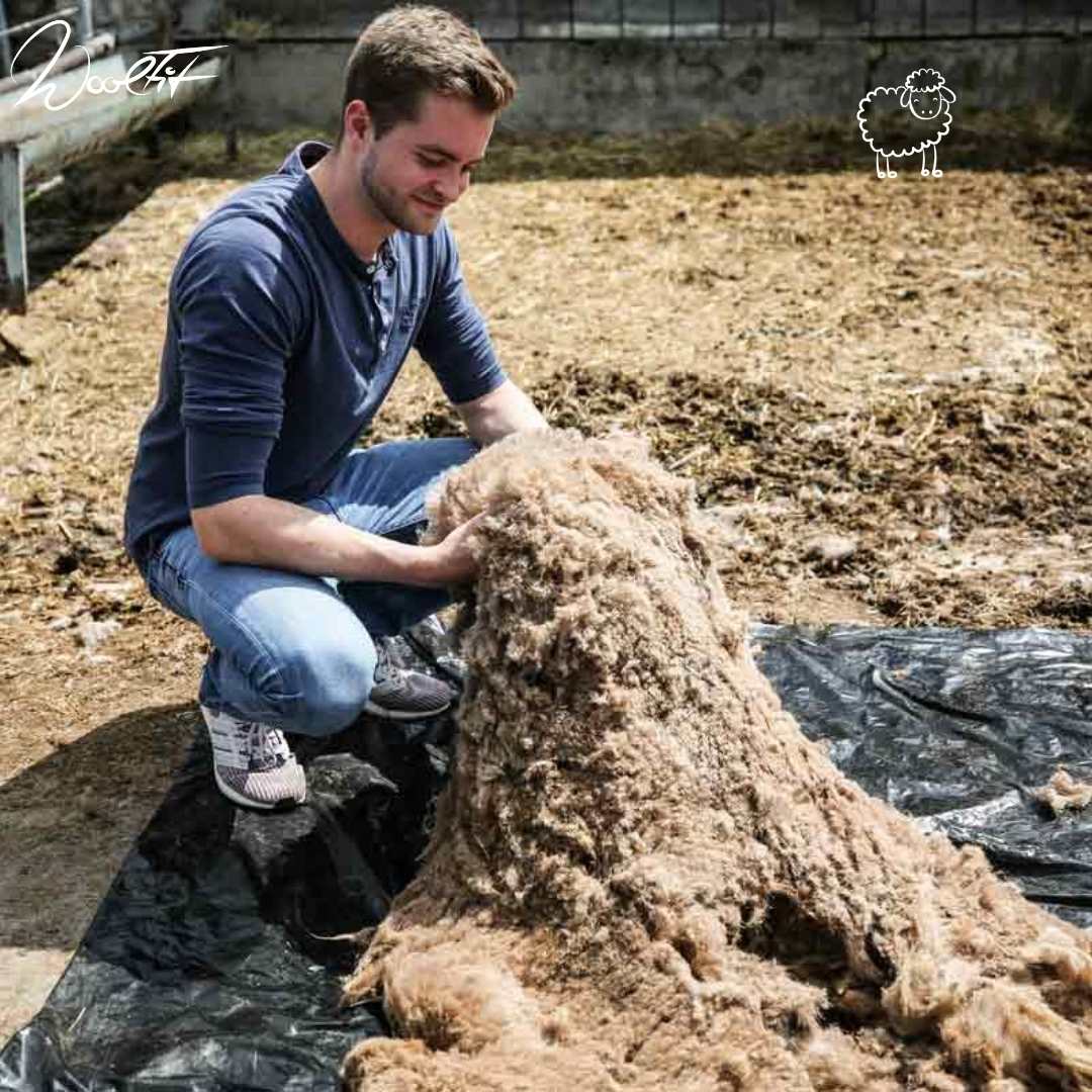 Wool artisan preparing natural fibers for WoolFit FeelGood footbeds